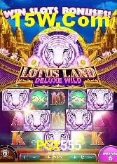 Provedores de Jogos PGX555