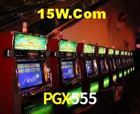 Sistemas de Segurança PGX555