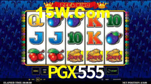 Programa VIP PGX555